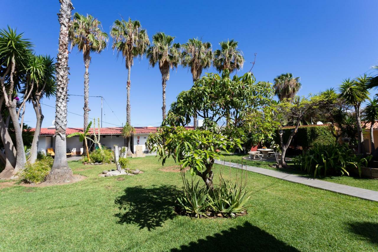 Finca La Gaviota - Las Palmeras Икод-де-лос-Винос Экстерьер фото