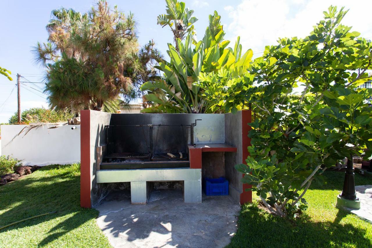 Finca La Gaviota - Las Palmeras Икод-де-лос-Винос Экстерьер фото