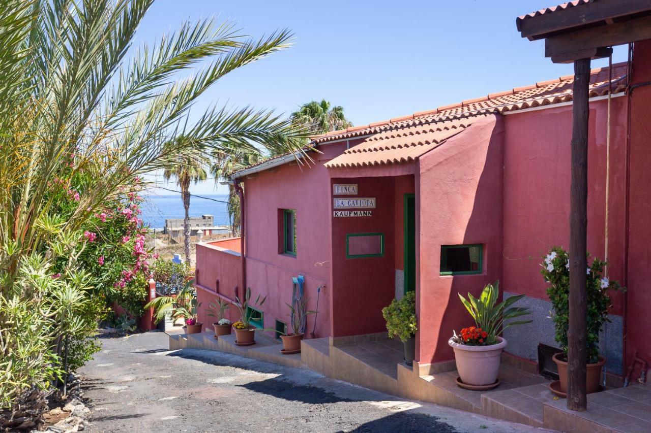 Finca La Gaviota - Las Palmeras Икод-де-лос-Винос Экстерьер фото